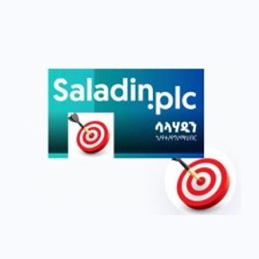 Saladina Trading PLC logo