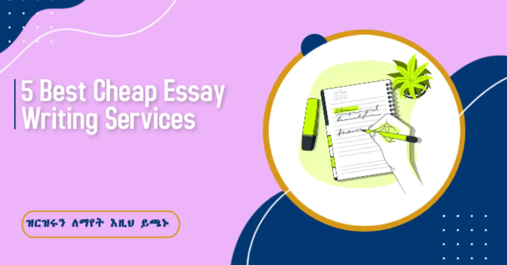 essay writing service cheapest